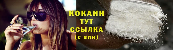 гашик Белокуриха