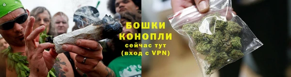 дживик Богородск