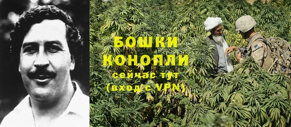 мяу мяу мука Белоозёрский