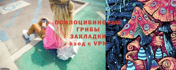 мяу мяу мука Бородино